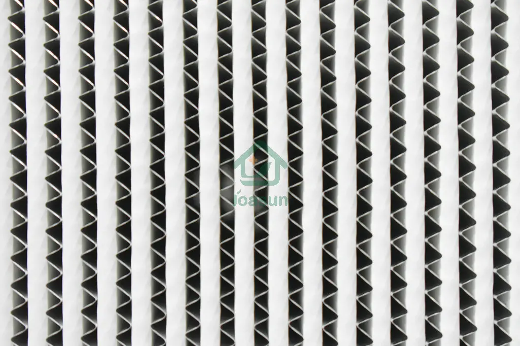 DSC_0334.webp